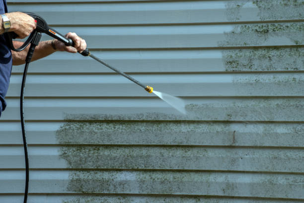 Best House Pressure Washing  in Hillview, KY